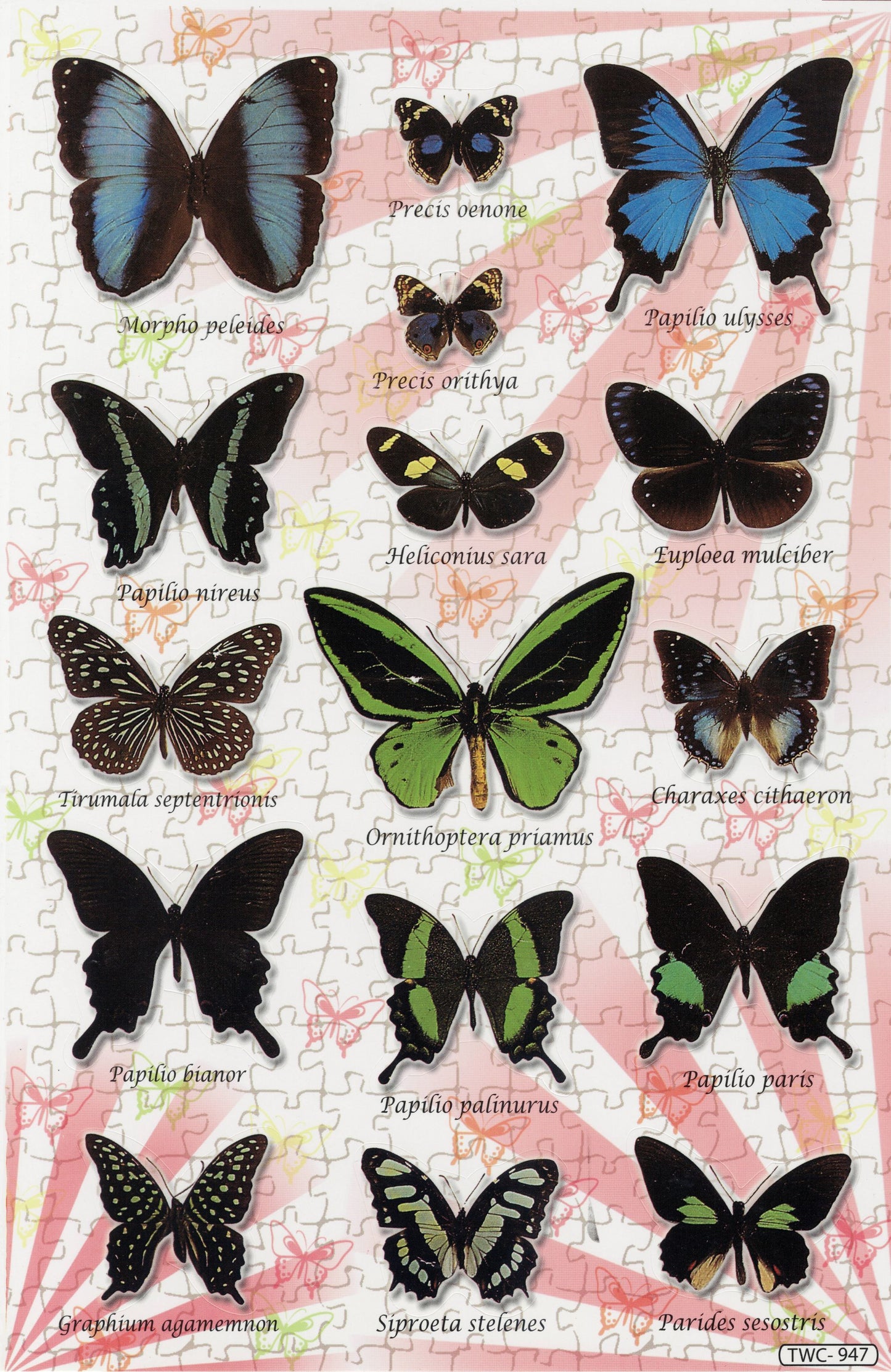 Papillons Insectes Animaux Autocollants pour enfants Bricolage Maternelle Anniversaire 1 Feuille 522