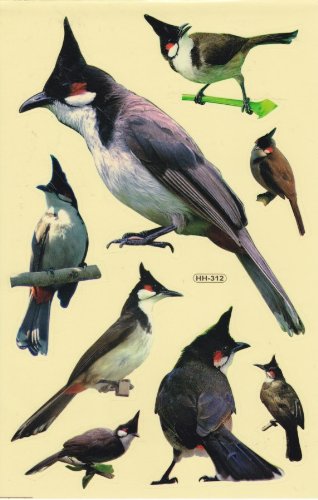 Pic Oiseaux Animaux Autocollants pour Enfants Artisanat Maternelle Anniversaire 1 feuille 513