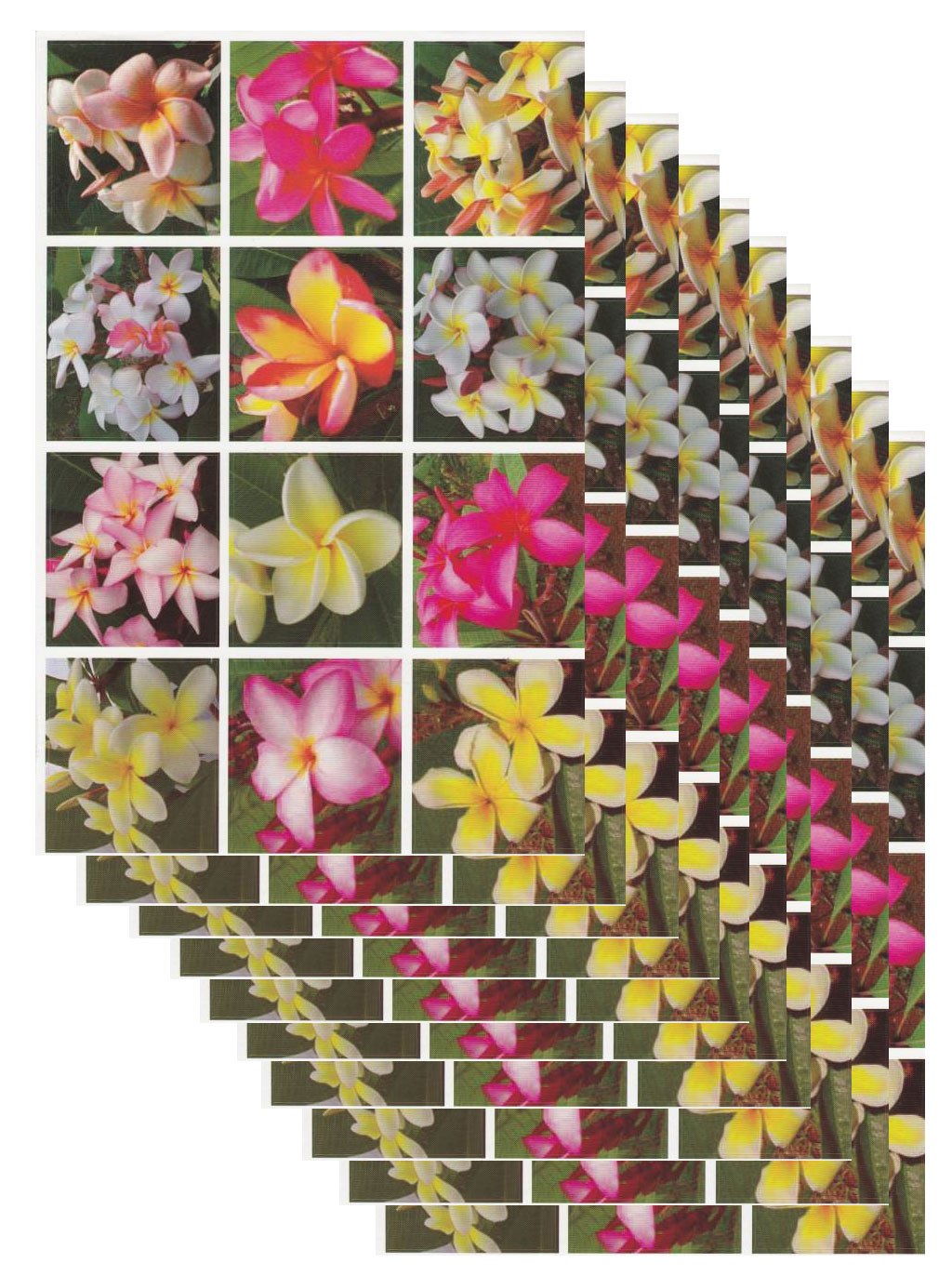 10ER Vorteilsangebot Vlumen Orchideen Aufkleber Sticker Kinder Basteln Kindergarten Sammeln Geburtstag 10 Bogen 110
