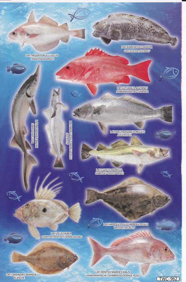 Poissons mer aquarium poissons animaux autocollants pour enfants artisanat maternelle anniversaire 1 feuille 117