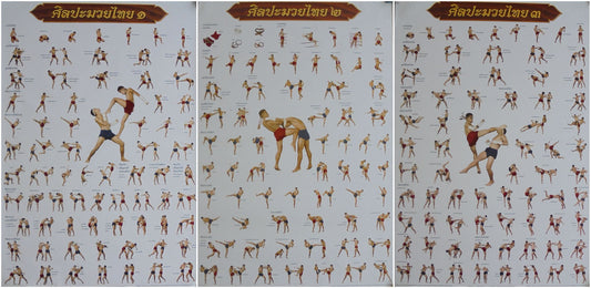 **Muay Thai Poster Set - 3-teiliges Ensemble für perfektes MMA-, Boxschulen- und Trainingserlebnis**