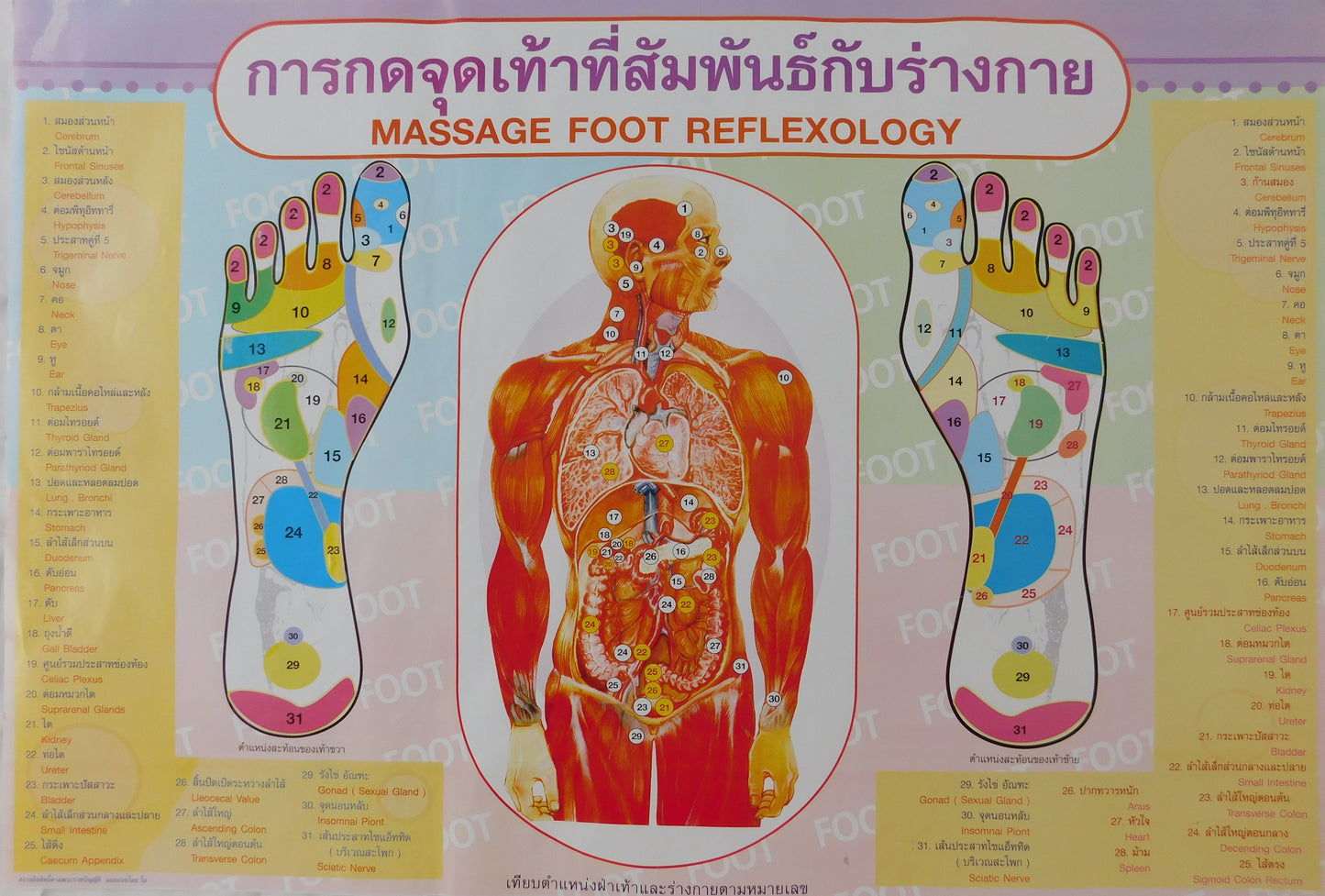 Massage Thai massage affiche photo instructions boutique de massage boutique de massage formation