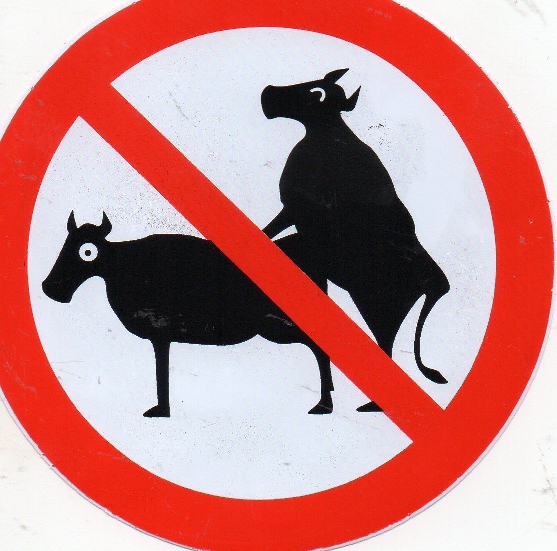 Autocollant rond "vache de derrière" interdit autocollant 232